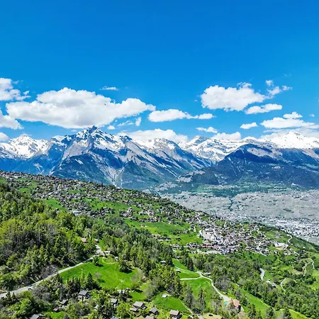 Apartment Les Chouettes 1