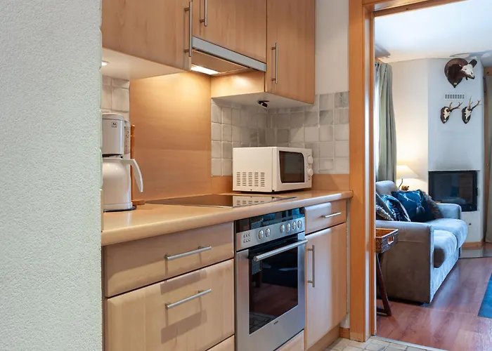 Les Chouettes 1 By Interhome Appartamento Nendaz